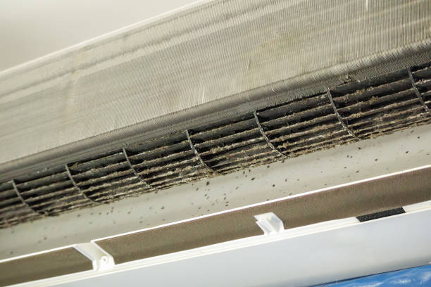 Best Affordable HVAC Duct Cleaning  in USA